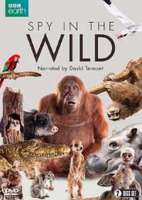 ��Ұ�����һ��