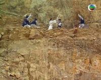 ɱ¾��������