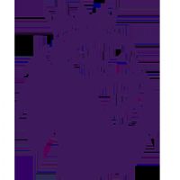 Ӣ�� Ŧ��˹����vs������20250826