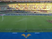 ���������һ�� ά����VS������ 20240811