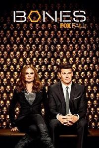 ʶ��Ѱ�ٵھż�