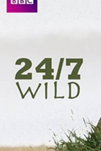 ȫ���Ұ������׷��